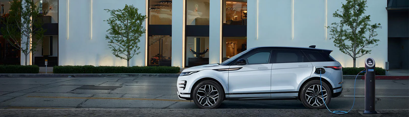 Drive Your Style Forward
